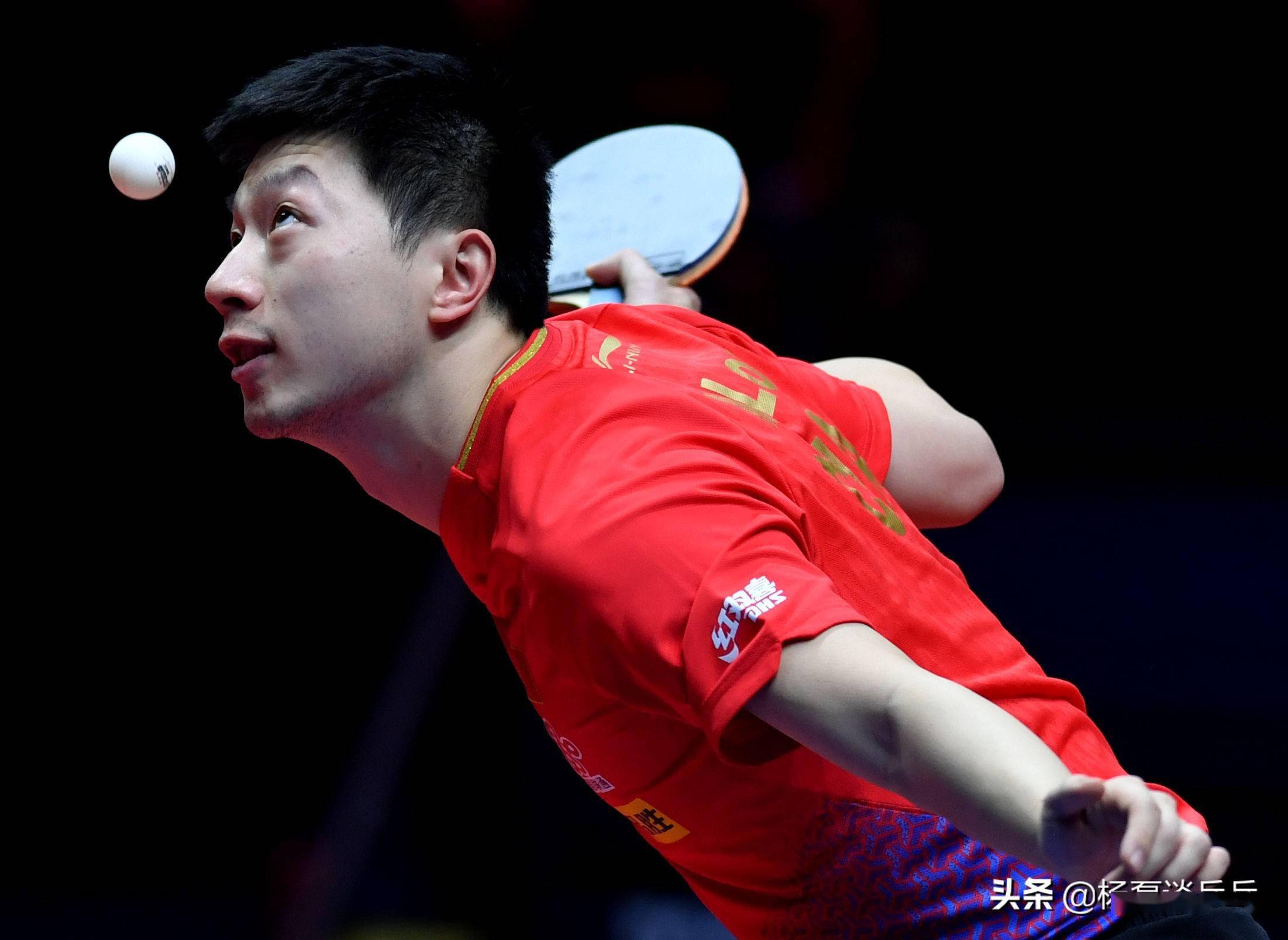 里在夏季亚 里在夏季亚